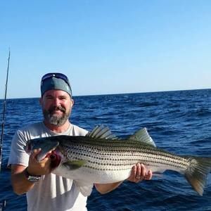 Meet your Posher, Michael